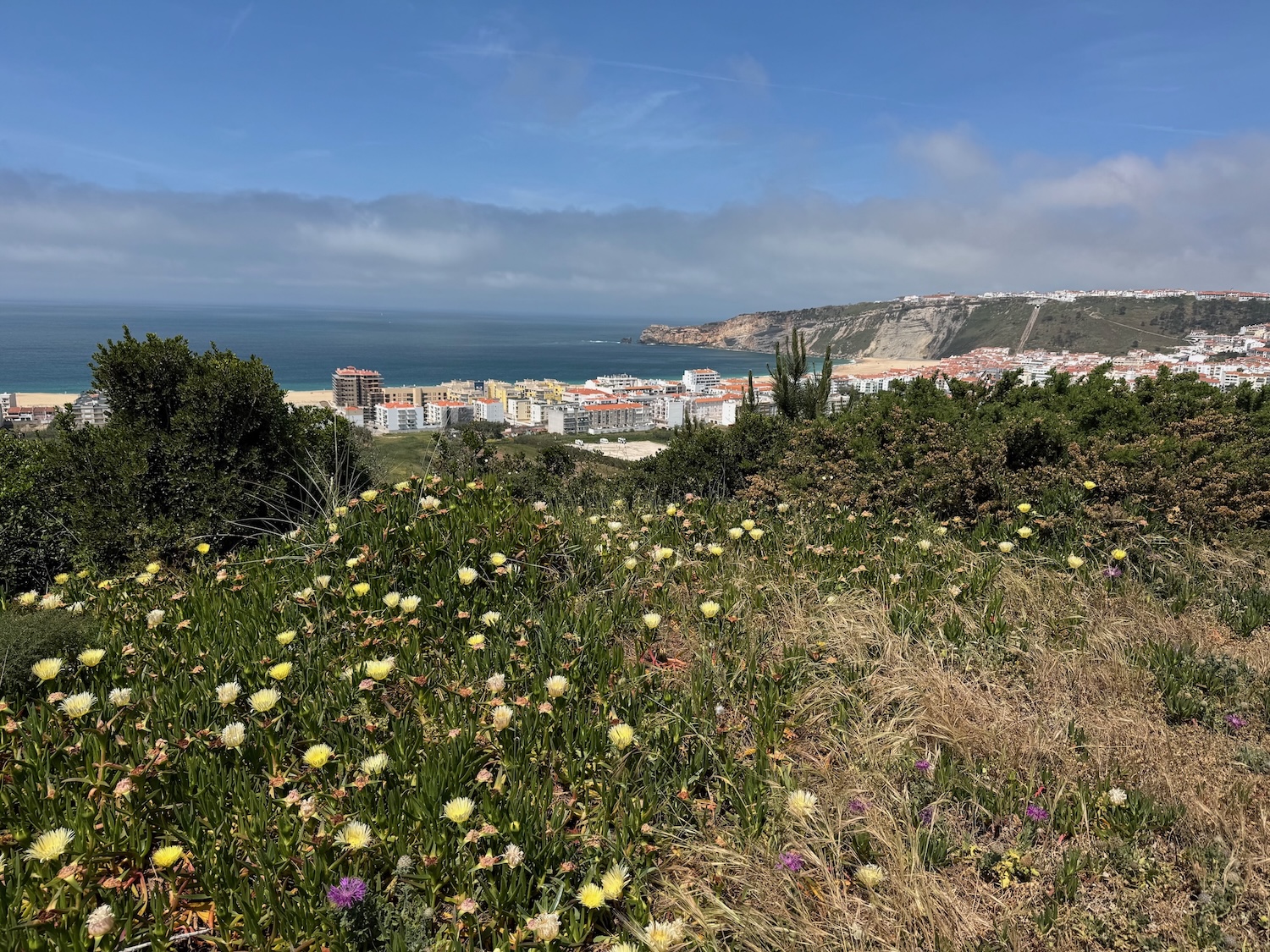 Frühlingswiese bei Nazaré